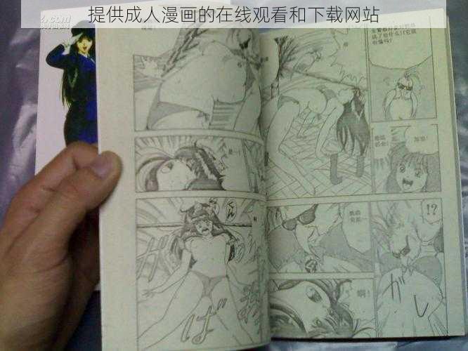 提供成人漫画的在线观看和下载网站