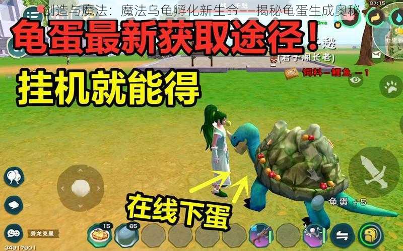 创造与魔法：魔法乌龟孵化新生命——揭秘龟蛋生成奥秘