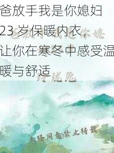 爸放手我是你媳妇 23 岁保暖内衣，让你在寒冬中感受温暖与舒适