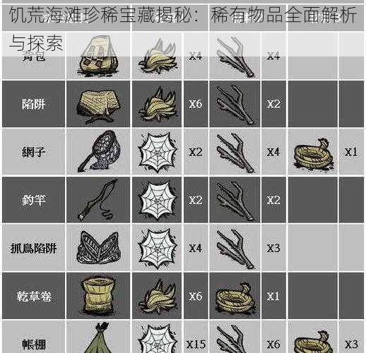 饥荒海滩珍稀宝藏揭秘：稀有物品全面解析与探索