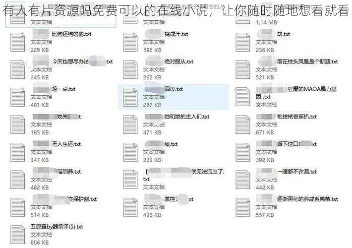 有人有片资源吗免费可以的在线小说，让你随时随地想看就看