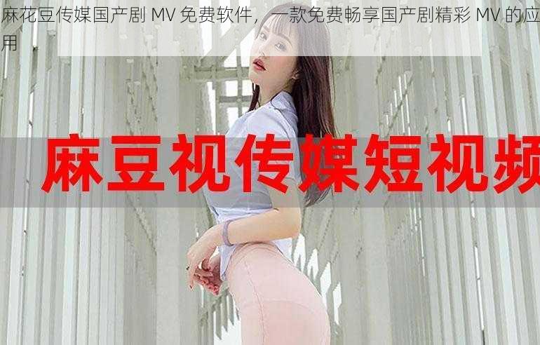 麻花豆传媒国产剧 MV 免费软件，一款免费畅享国产剧精彩 MV 的应用