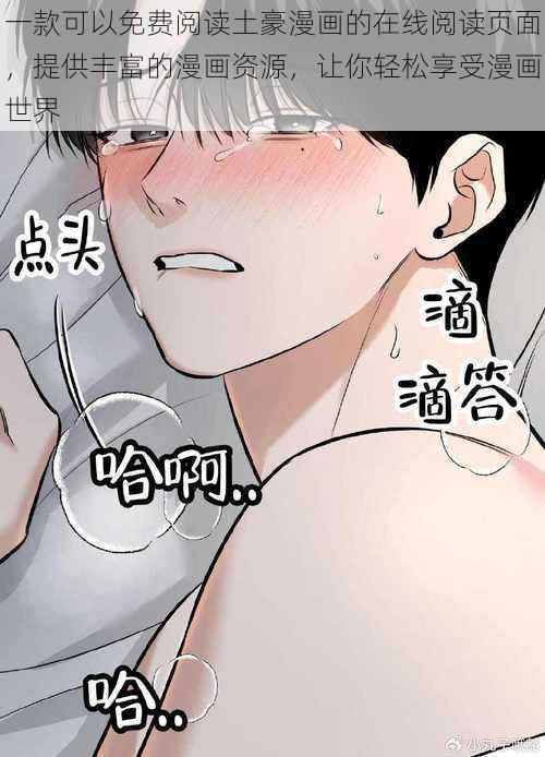 一款可以免费阅读土豪漫画的在线阅读页面，提供丰富的漫画资源，让你轻松享受漫画世界