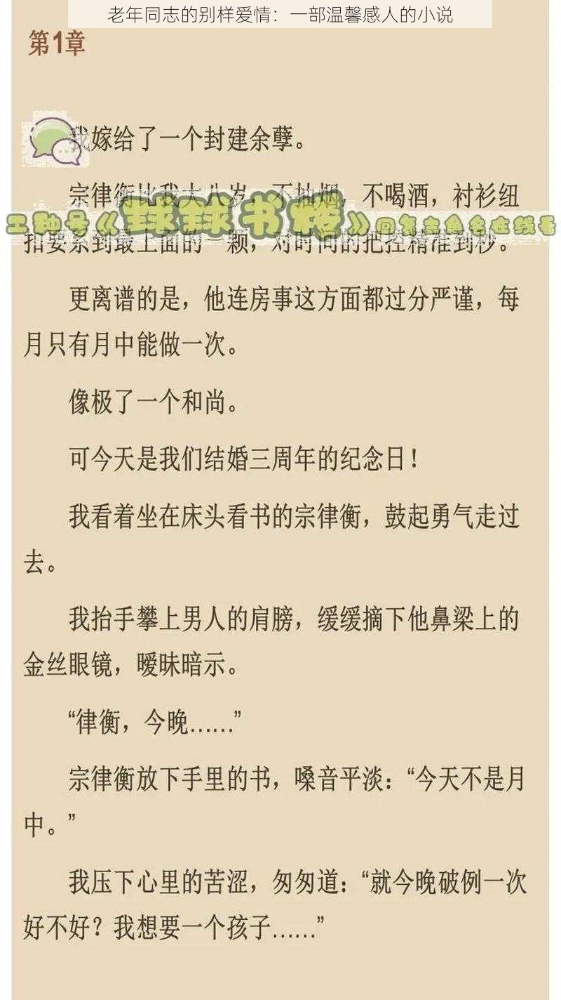 老年同志的别样爱情：一部温馨感人的小说