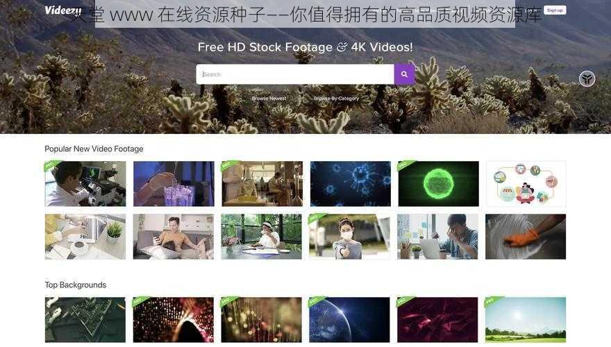 天堂 www 在线资源种子——你值得拥有的高品质视频资源库