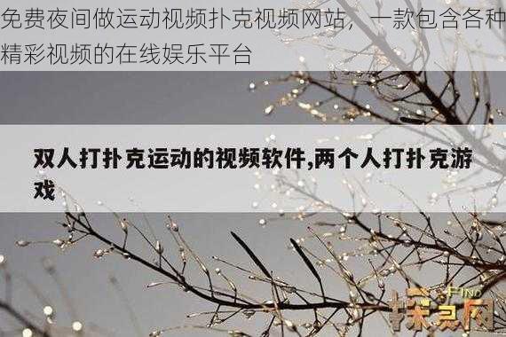 免费夜间做运动视频扑克视频网站，一款包含各种精彩视频的在线娱乐平台