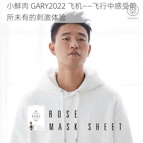 小鲜肉 GARY2022 飞机——飞行中感受前所未有的刺激体验