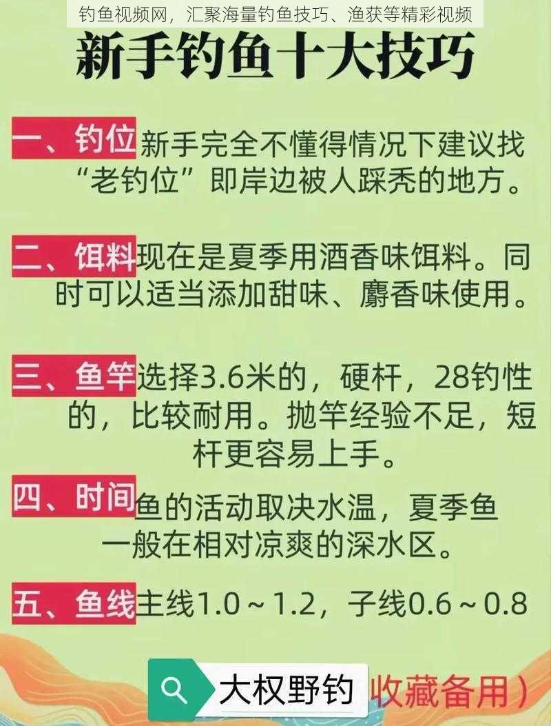 钓鱼视频网，汇聚海量钓鱼技巧、渔获等精彩视频