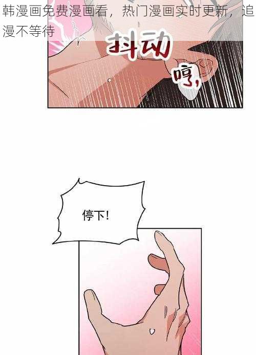 韩漫画免费漫画看，热门漫画实时更新，追漫不等待