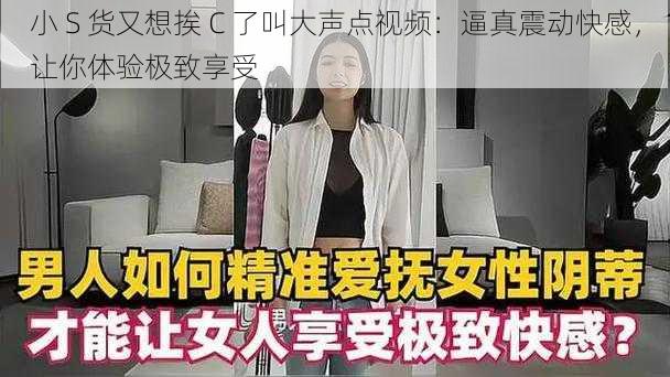 小 S 货又想挨 C 了叫大声点视频：逼真震动快感，让你体验极致享受