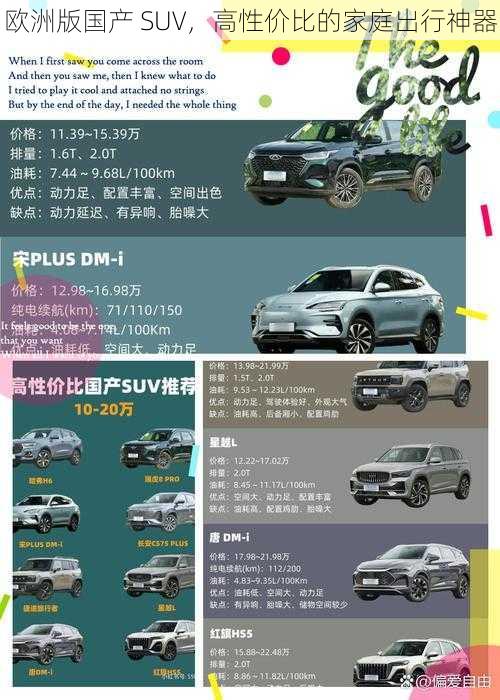 欧洲版国产 SUV，高性价比的家庭出行神器