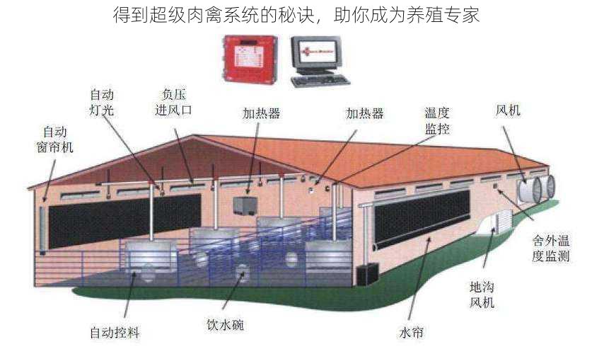 得到超级肉禽系统的秘诀，助你成为养殖专家