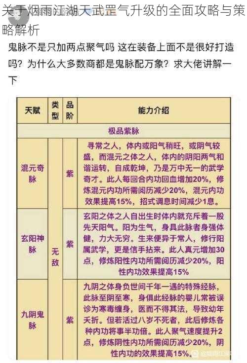 关于烟雨江湖天武罡气升级的全面攻略与策略解析