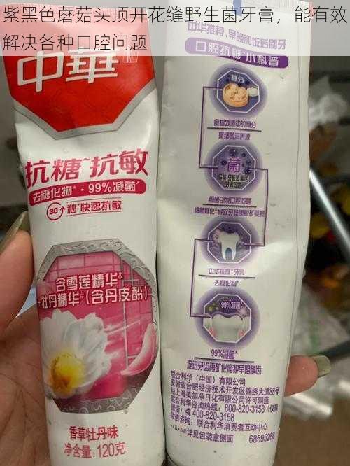 紫黑色蘑菇头顶开花缝野生菌牙膏，能有效解决各种口腔问题