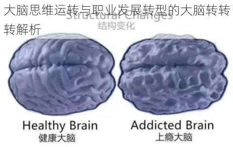 大脑思维运转与职业发展转型的大脑转转转解析