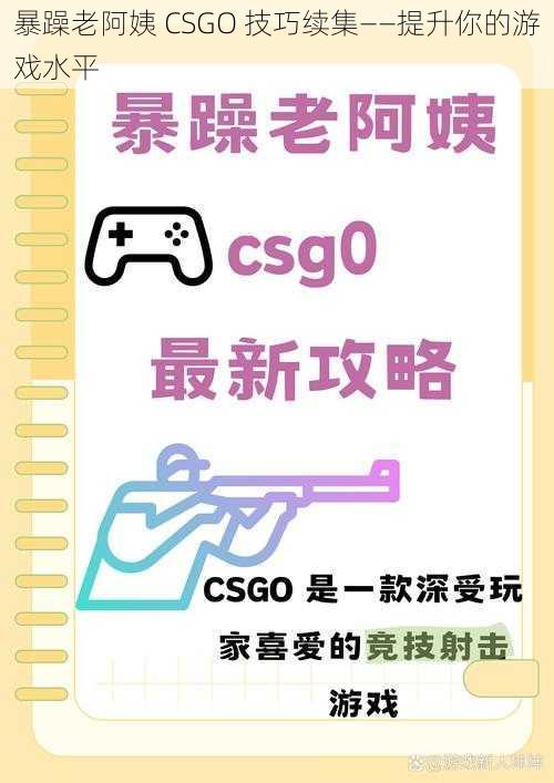 暴躁老阿姨 CSGO 技巧续集——提升你的游戏水平