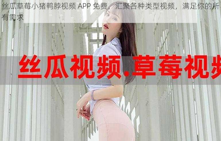 丝瓜草莓小猪鸭脖视频 APP 免费，汇聚各种类型视频，满足你的所有需求