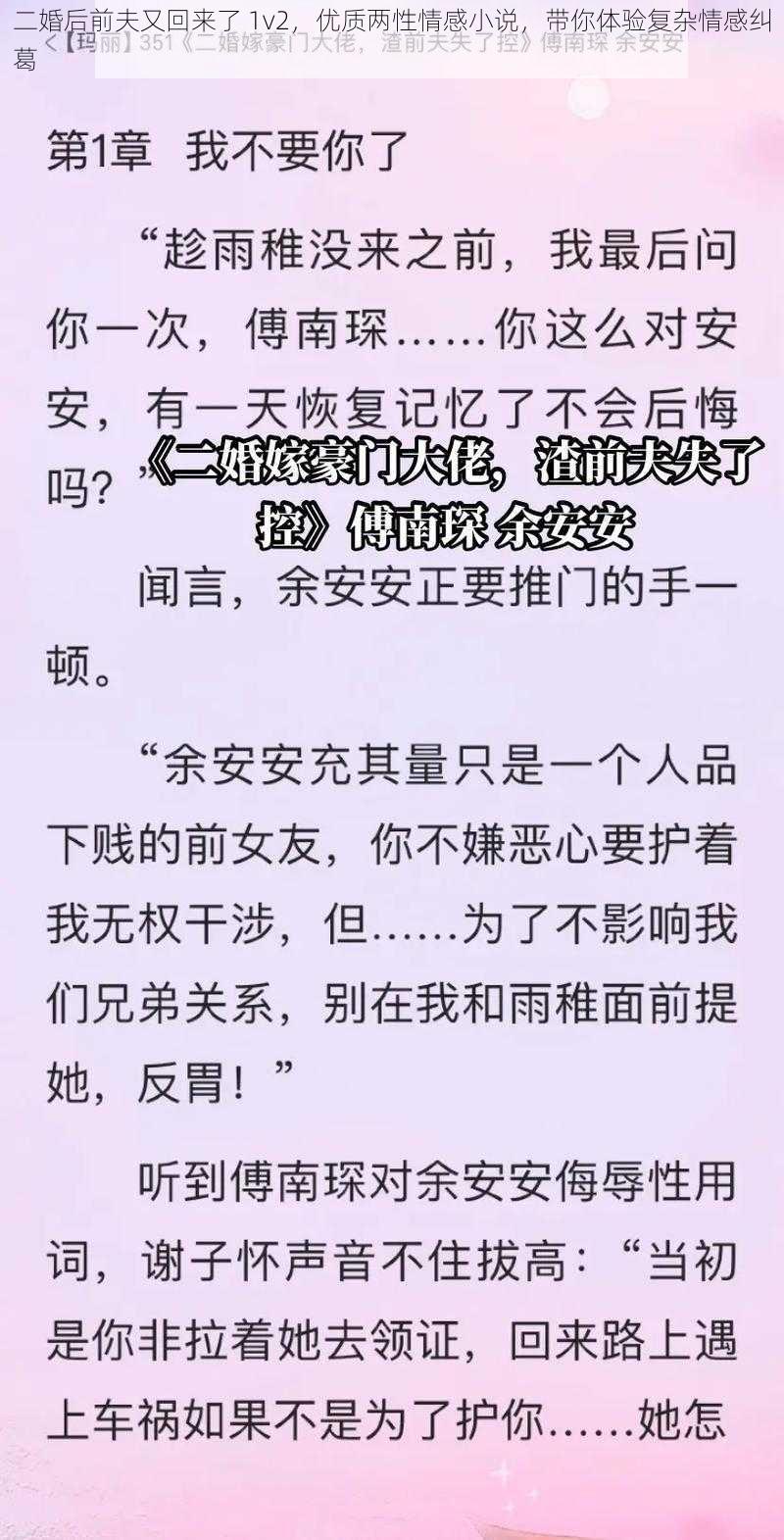 二婚后前夫又回来了 1v2，优质两性情感小说，带你体验复杂情感纠葛