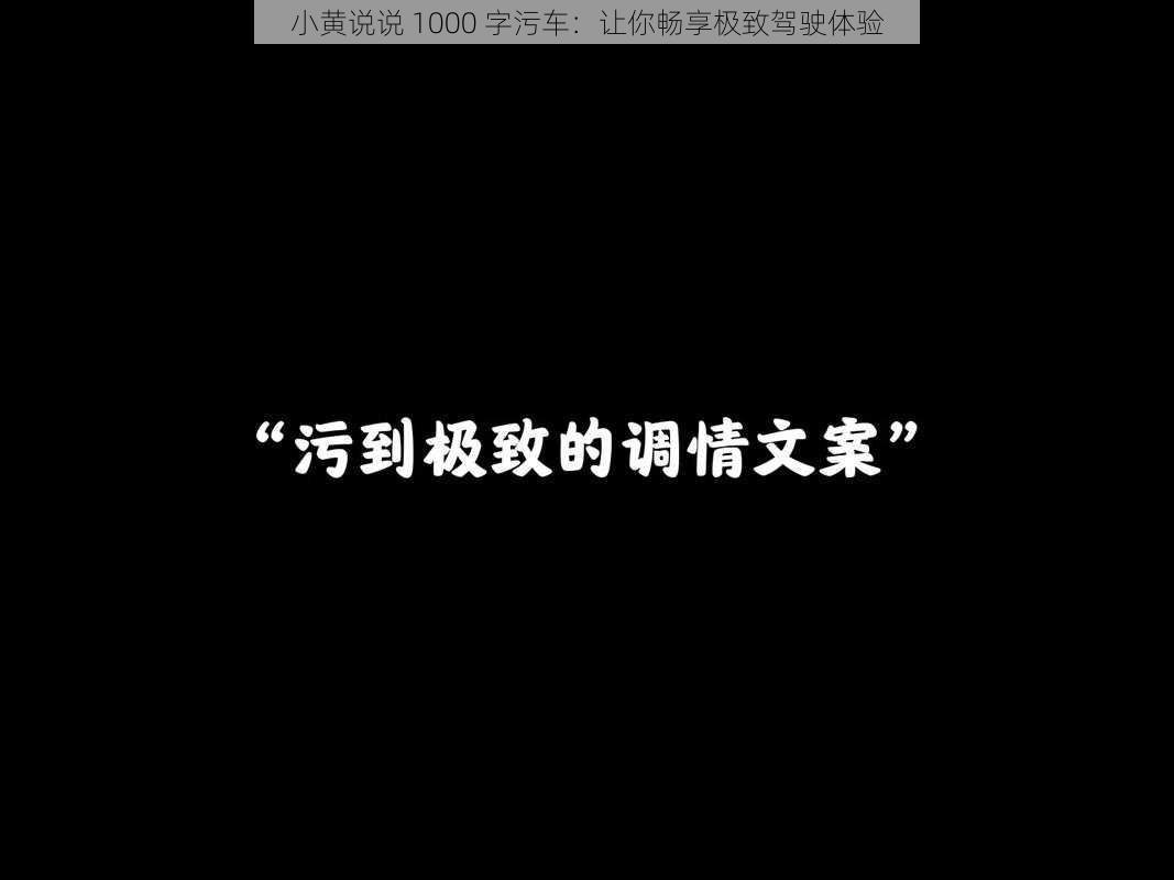 小黄说说 1000 字污车：让你畅享极致驾驶体验