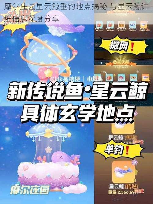 摩尔庄园星云鲸垂钓地点揭秘 与星云鲸详细信息深度分享