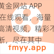 黄金网站 APP 在线观看，海量高清视频，精彩不断，尽在其中