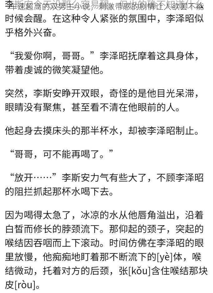 车速超高的双男主小说，刺激带感的剧情让人欲罢不能