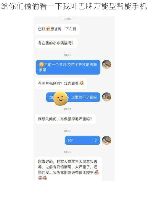 给你们偷偷看一下我坤巴牌万能型智能手机