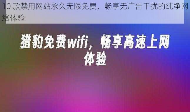 10 款禁用网站永久无限免费，畅享无广告干扰的纯净网络体验