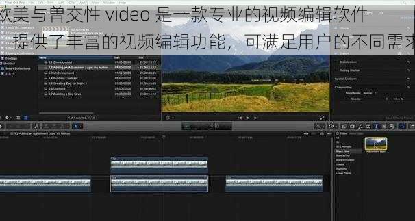 欧美与曽交性 video 是一款专业的视频编辑软件，提供了丰富的视频编辑功能，可满足用户的不同需求