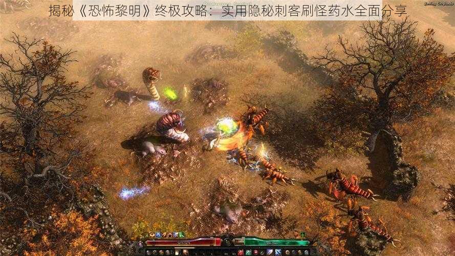 揭秘《恐怖黎明》终极攻略：实用隐秘刺客刷怪药水全面分享