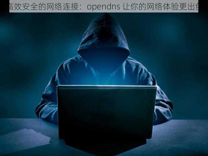 高效安全的网络连接：opendns 让你的网络体验更出色