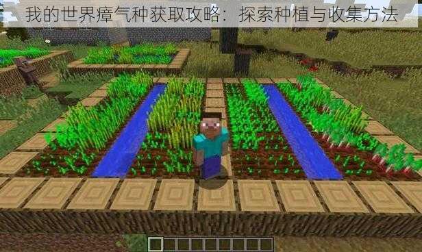 我的世界瘴气种获取攻略：探索种植与收集方法