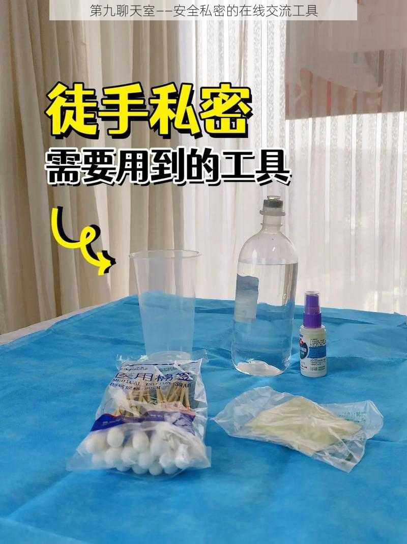 第九聊天室——安全私密的在线交流工具