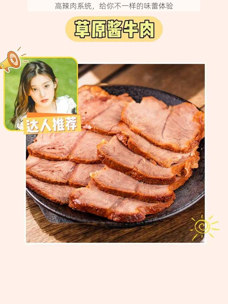 高辣肉系统，给你不一样的味蕾体验