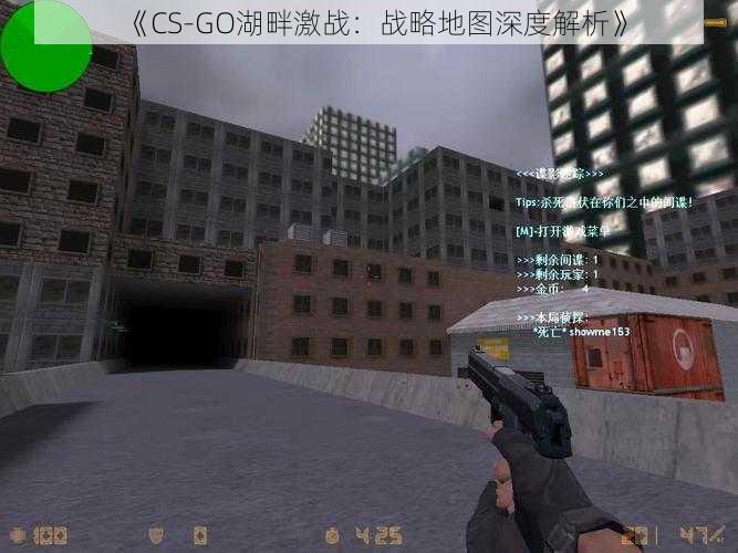 《CS-GO湖畔激战：战略地图深度解析》