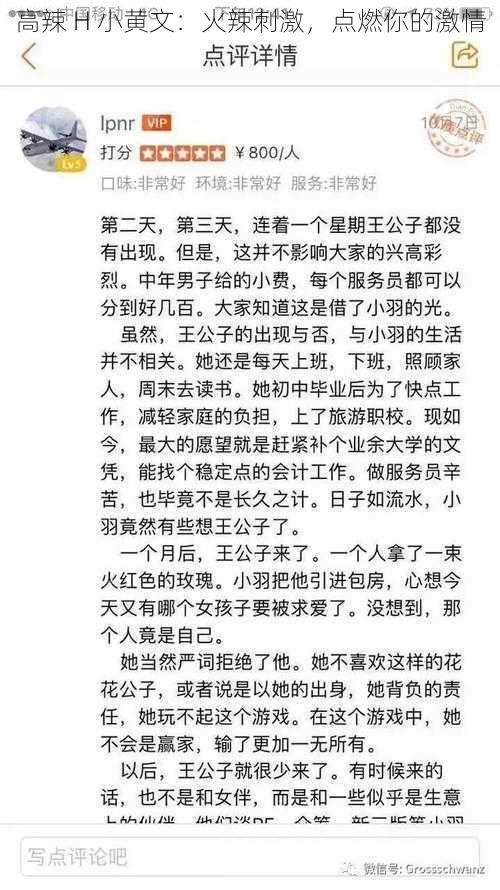 高辣 H 小黄文：火辣刺激，点燃你的激情