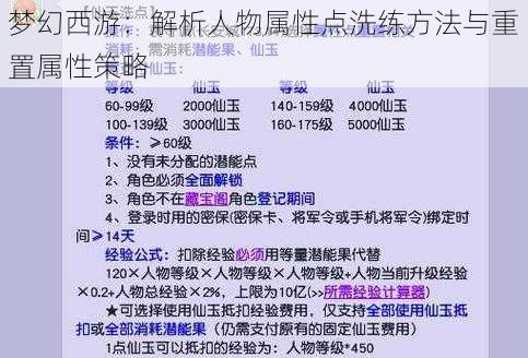 梦幻西游：解析人物属性点洗练方法与重置属性策略