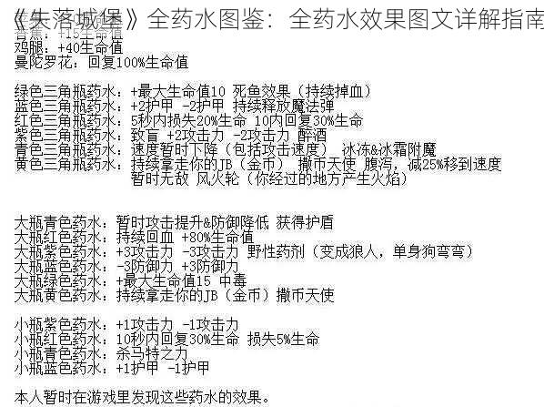 《失落城堡》全药水图鉴：全药水效果图文详解指南