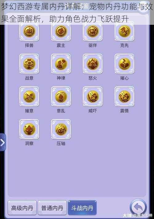 梦幻西游专属内丹详解：宠物内丹功能与效果全面解析，助力角色战力飞跃提升