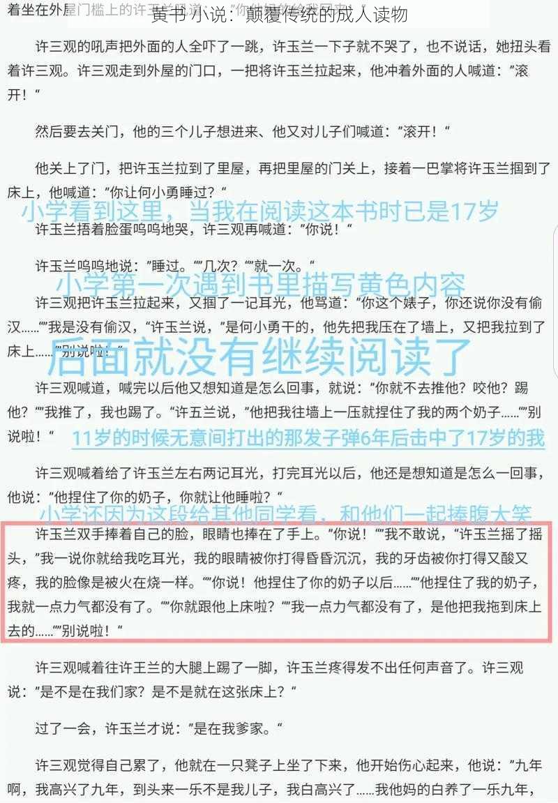 黄书 小说：颠覆传统的成人读物