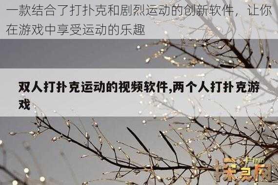 一款结合了打扑克和剧烈运动的创新软件，让你在游戏中享受运动的乐趣