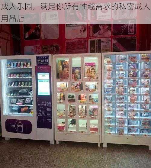 成人乐园，满足你所有性趣需求的私密成人用品店