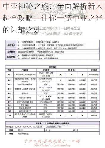 中亚神秘之旅：全面解析新人超全攻略：让你一览中亚之光的闪耀之处