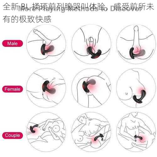 全新 BL 揉顶前列腺哭叫体验，感受前所未有的极致快感