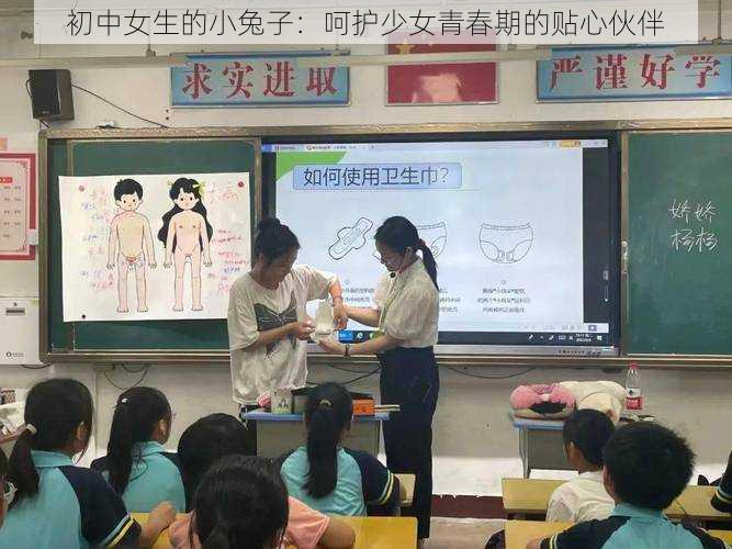 初中女生的小兔子：呵护少女青春期的贴心伙伴