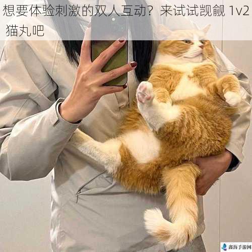 想要体验刺激的双人互动？来试试觊觎 1v2 猫丸吧