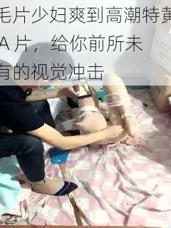 毛片少妇爽到高潮特黄 A 片，给你前所未有的视觉冲击