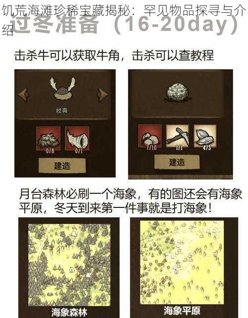 饥荒海滩珍稀宝藏揭秘：罕见物品探寻与介绍