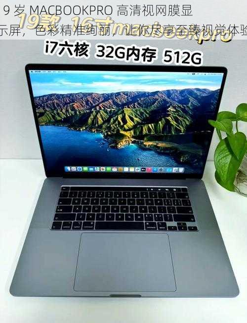 19 岁 MACBOOKPRO 高清视网膜显示屏，色彩精准绚丽，让你尽享至臻视觉体验