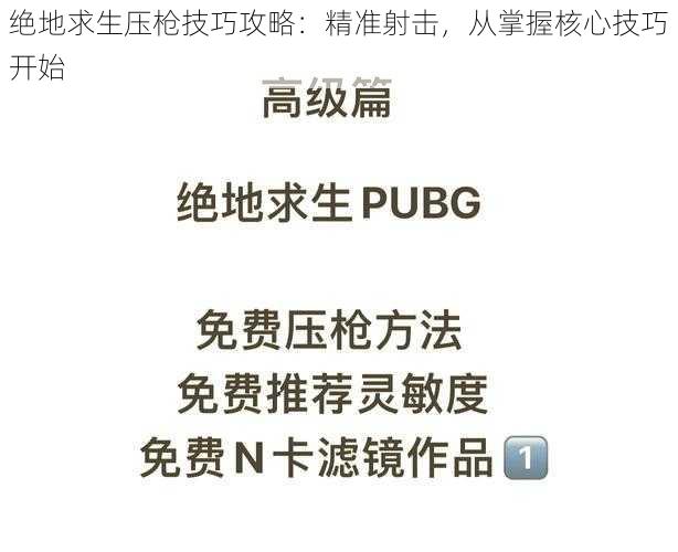 绝地求生压枪技巧攻略：精准射击，从掌握核心技巧开始